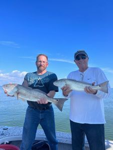 Tampa Fishing Charters: Where Memories Are Created